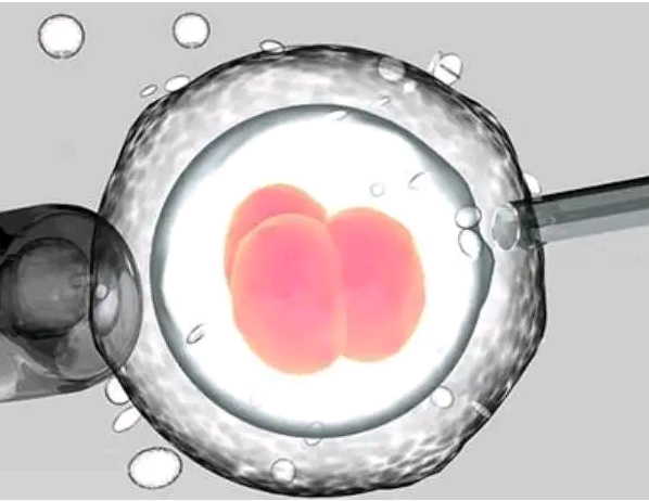 温州试管供卵有案例 温州市人民医院试管成功经验分享： ‘30b超单看男女’